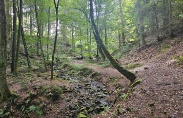 Ferienhaus Waldgefluester - Foto 30