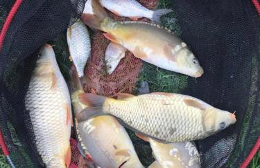 Spacious Lodge With Hot Tub - Foto 29