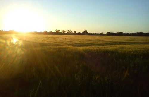 Haus am Deich - Photo 39