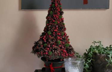 Casa Fresia centro storico Poppi - Foto 11