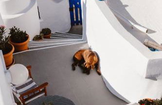 Boreas Stone House - Foto 17