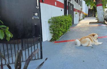 Studio Luxo decorado total Ar condicionado - Foto 54