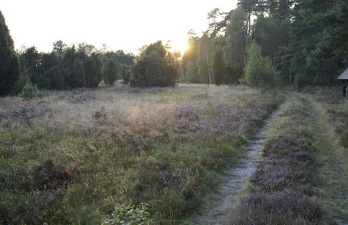 Ferienhaus Wahlers - Foto 47