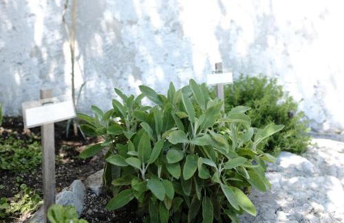 DAME casa vacanza - Foto 30