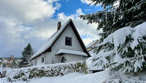 Urige Berghütte mit Kamin und Sauna im Erzgebirge nahe Schwarzwassertal - Photo 3