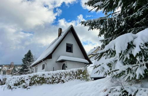 Urige Berghütte mit Kamin und Sauna im Erzgebirge nahe Schwarzwassertal - Foto 3
