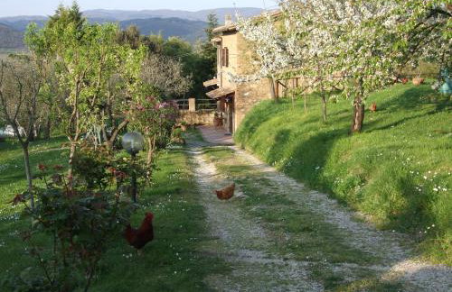 Podere La Vigna Locazione Turistica - Photo 1