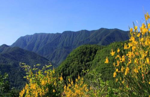 Historic Tuscan Villa - Foto 30