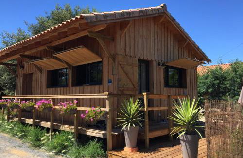 Gîte de l'océan, 3 étoiles - Les cabanes océanes, Montalivet - Foto 1