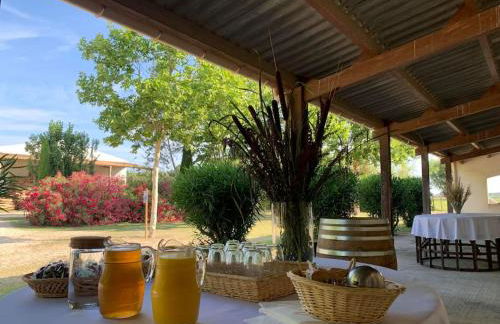 Mas de Cerier - Foto 15