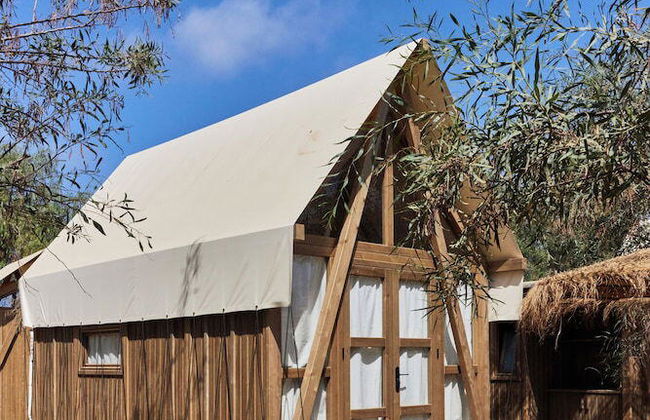 Taiga Almeria Playa - Photo 9