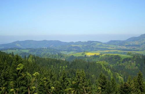 Apartment in Dachsberg-urberg - Foto 54