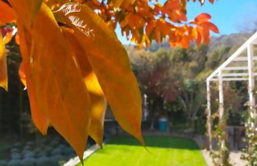 Casa Malù near Chianti - Foto 1