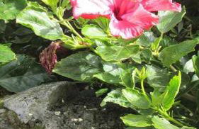 Casa da Arquinha - Photo 32