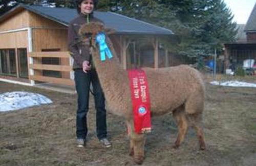 Ferienhaus Alpaka Glück - Foto 40