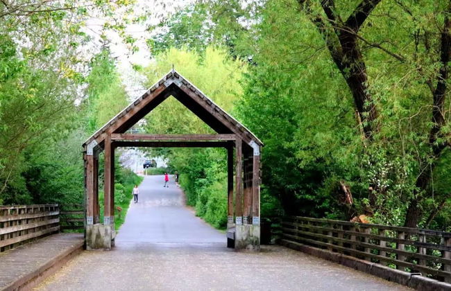 Comfortable Kirkland Home for Family & Remote Work - Photo 36