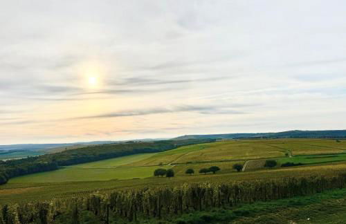 Maison Palomase en plein cœur de Sancerre - Foto 3