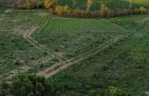 Agriturismo La Terrazza sul Mangia - Foto 7