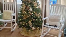 St Johns River Cabin - Photo 2