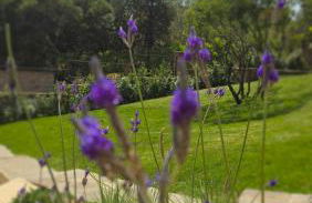 VILLA ISOLOTTO a 150 m dal mare - Foto 21