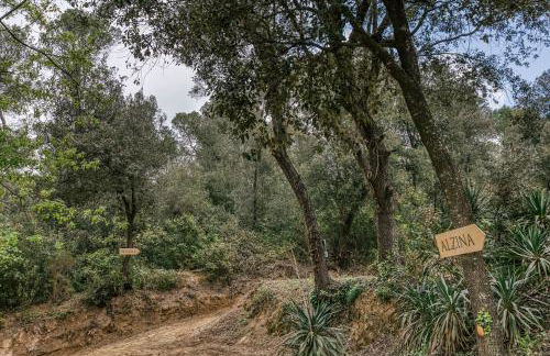 Mas Tarres L'alzina Madremanya - Foto 29