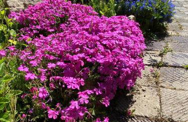 Das Alte Forsthaus Spiegelhütte - Foto 39