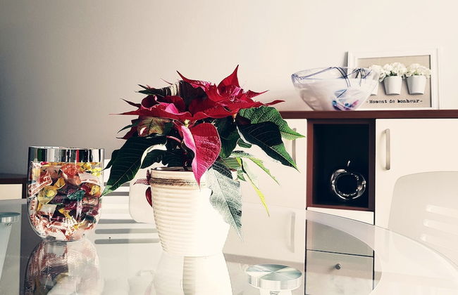 Apartments Dominik - Foto 12