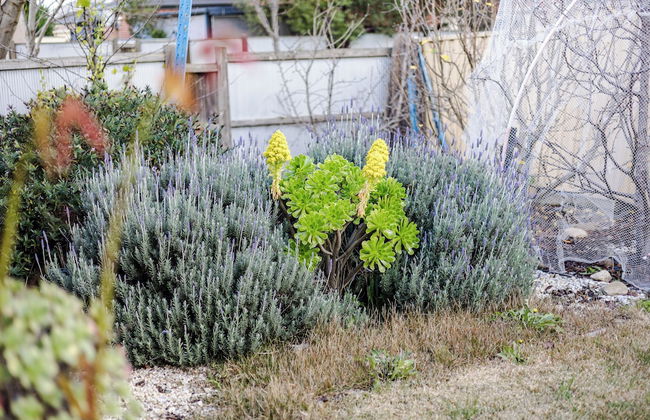 StayAU Family Home in Caroline Springs - Foto 66