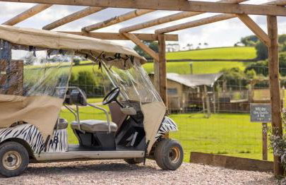 Luxury Safari Lodge-Sleeps 4 6-Deer Park-Dogs Ok - Foto 8