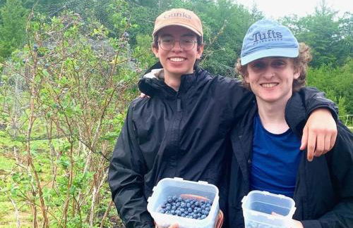 Luxury Farm Stay-Bonds Corner Bungalow-Wolf Pine Hollow - Foto 11