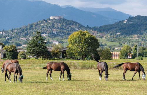 Progress Country & Wine House - Photo 13