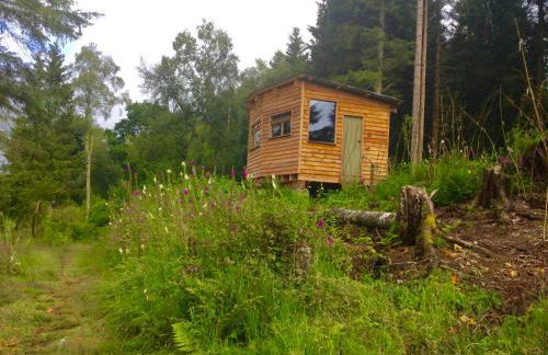 Bamff Ecotourism - Photo 110