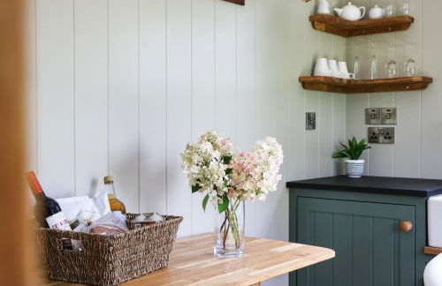 Little Silver Pheasant - Foto 12