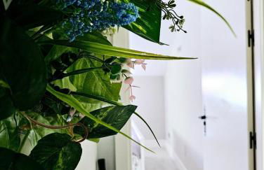 AdriVA Fuente Dorada-Plaza Mayor, Wifi Atico - Foto 12