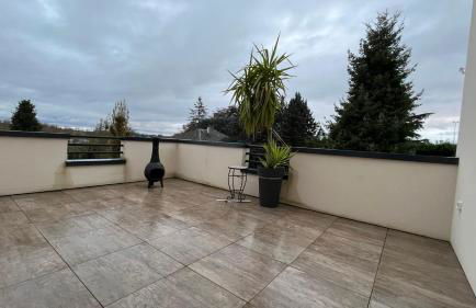 Au gré des oiseaux - Photo 27