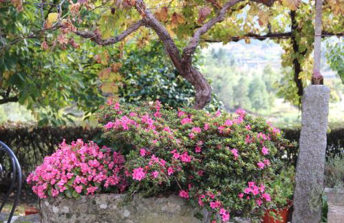 Quinta de Canhões - Foto 33