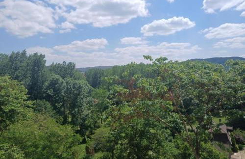 Appealing Apartment in Vezac With Swimming Pool - Foto 128