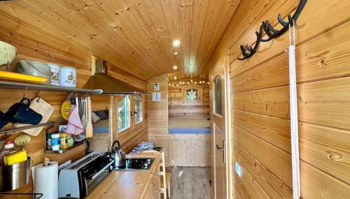 Zauberwagen am Geiseltalsee - Foto 3