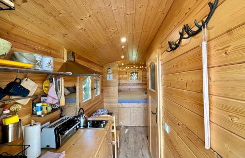 Zauberwagen am Geiseltalsee - Foto 3