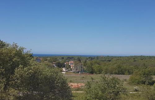 Apartment Studio Baric - Photo 11