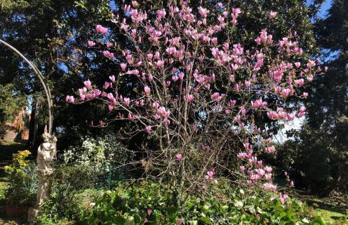 Villa Agostina - Photo 15