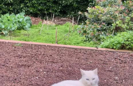 Quinta da Pavoa - Cottage House - Photo 35