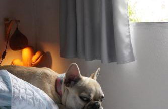 Casa de Mar Sagi - Foto 8