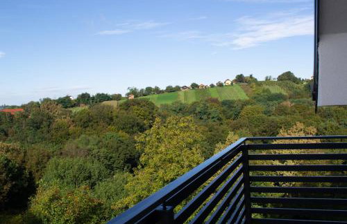 Kraljeva hiža - Apartmani i sobe Kralj - Foto 73