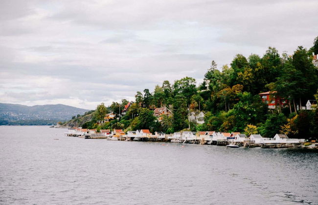 Paseo en barco eléctrico por el fiordo de Oslo - Foto 6