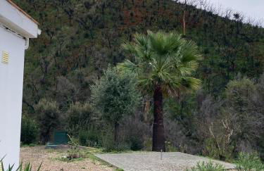 Oleiro de Cima - Foto 12