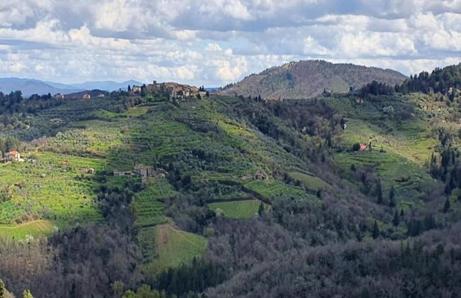 Serene Chianti Retreat - Foto 37