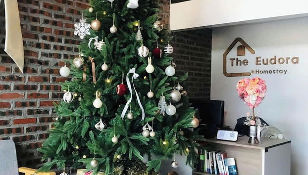 The Eudora Homestay - Foto 2, Recepción