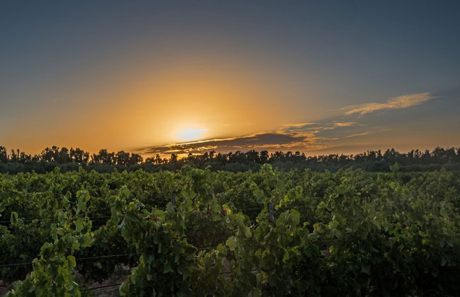 Agriturismo Casale degli Ulivi - Foto 48