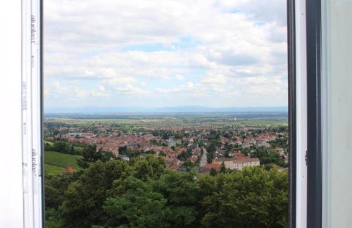 Alsace Panorama - Photo 28